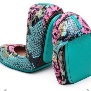 ISO electric snake size 6